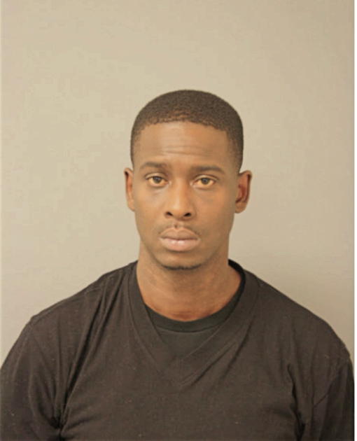 TERRELL L JOHNSON, Cook County, Illinois