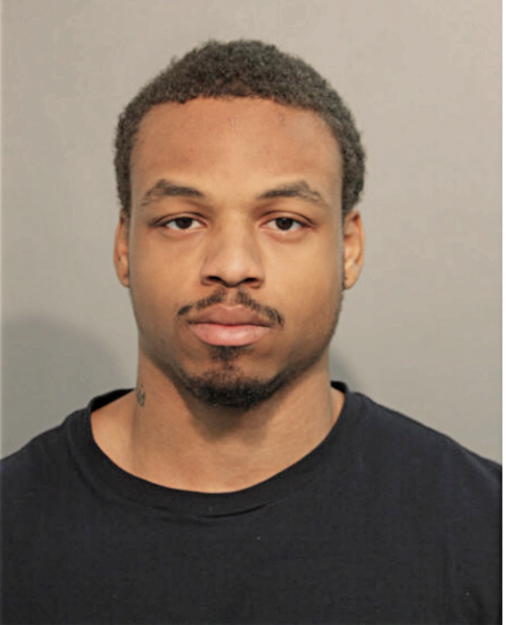 ERIK L GALLOWAY, Cook County, Illinois