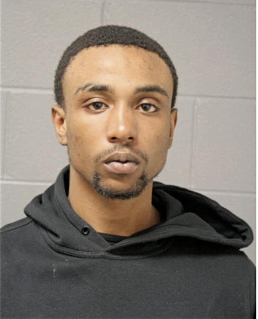LAVON L LYONS, Cook County, Illinois