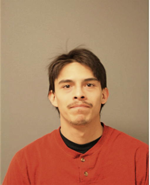 AGUSTIN MARTIN, Cook County, Illinois