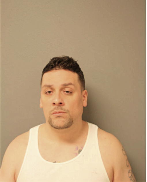 JAIME M MEDINA, Cook County, Illinois