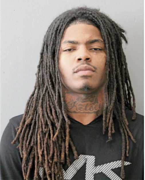 DONOVAN L REDDING, Cook County, Illinois