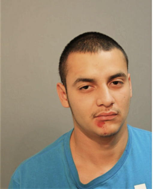 IRBIN U ROCHA-SANCHEZ, Cook County, Illinois