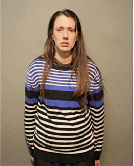 ERIN K TAYLOR, Cook County, Illinois