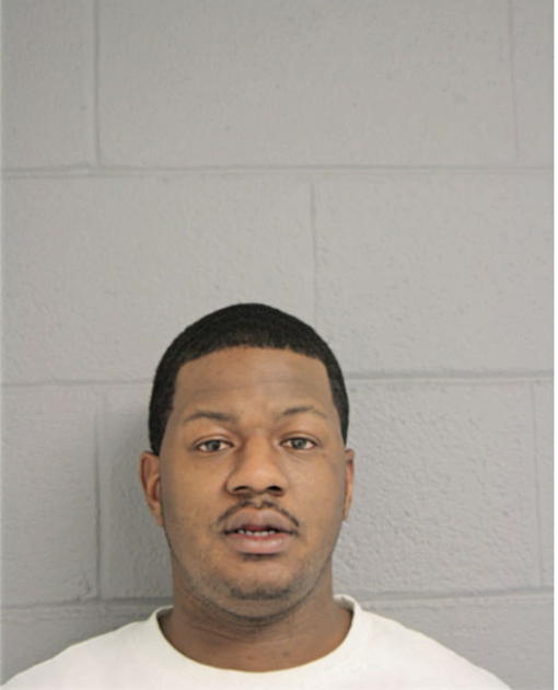 DAVID D TYLER, Cook County, Illinois