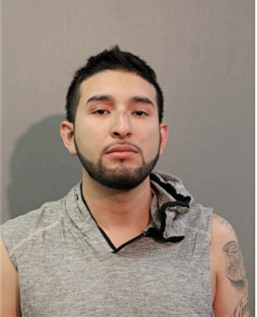 BRIAN J ZAVALA MENA, Cook County, Illinois