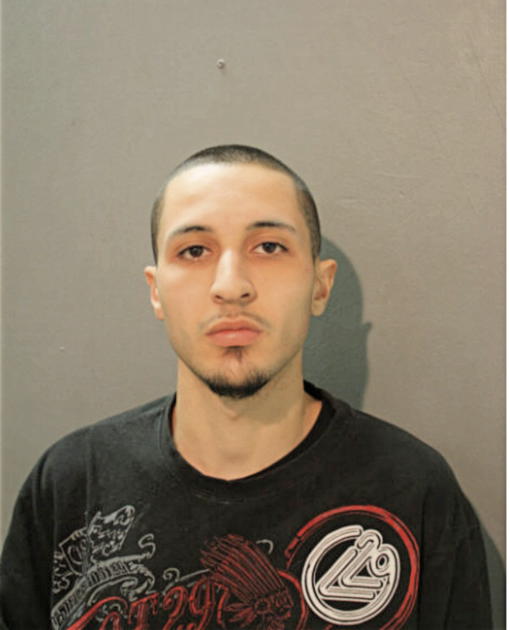 ANTHONY E ZIZZO, Cook County, Illinois