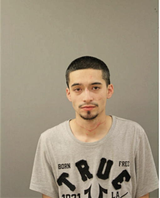 MARCOS ALARCON, Cook County, Illinois