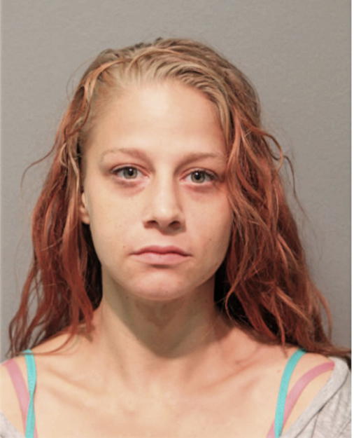 ASHLEY A ANDERSEN, Cook County, Illinois