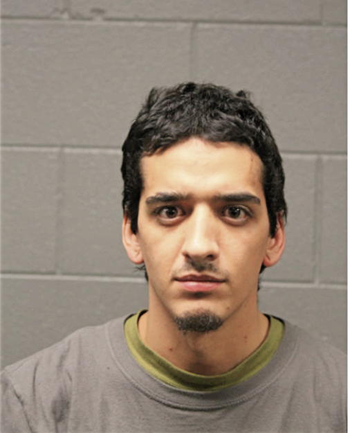 STEPHEN E ARAUJO, Cook County, Illinois