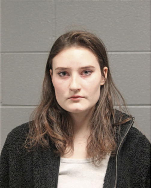 ANNE E BAILEY, Cook County, Illinois