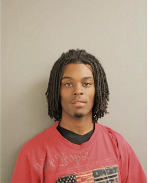 TERRANCE J BARNES, Cook County, Illinois