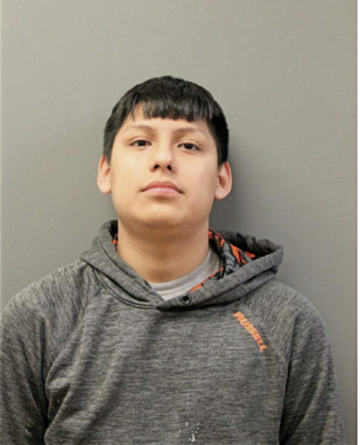 AARON FLORES-BALBUENA, Cook County, Illinois