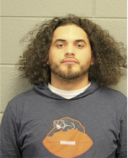 DOMINGO M GONZALEZ, Cook County, Illinois