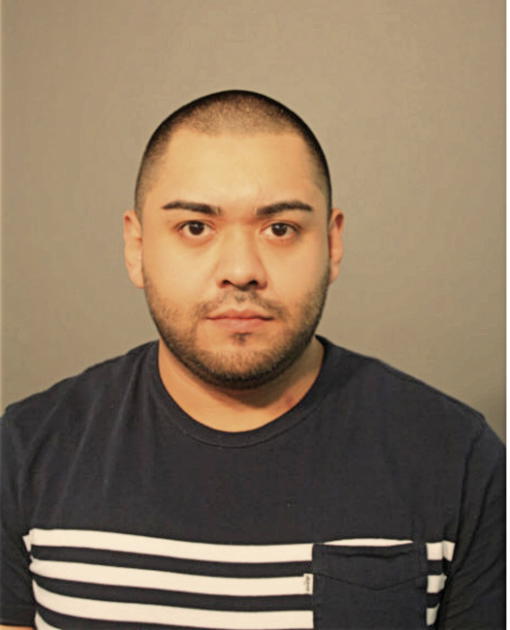 LUIS R GONZALEZ, Cook County, Illinois