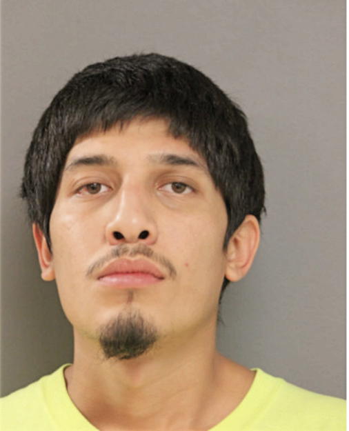 LUIS E GUILLEN, Cook County, Illinois