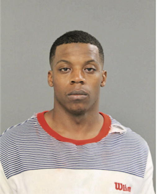BRIAN L JONES, Cook County, Illinois