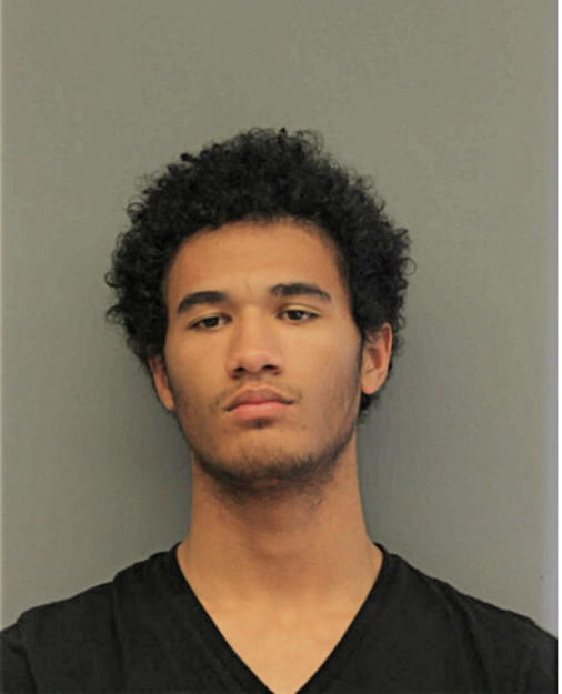 TRISTAN J MARKS, Cook County, Illinois