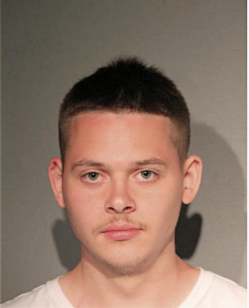 MATTHEW M MELLAS, Cook County, Illinois