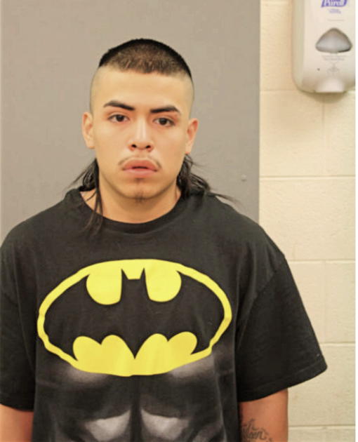 ARMANDO M MENDOZA, Cook County, Illinois