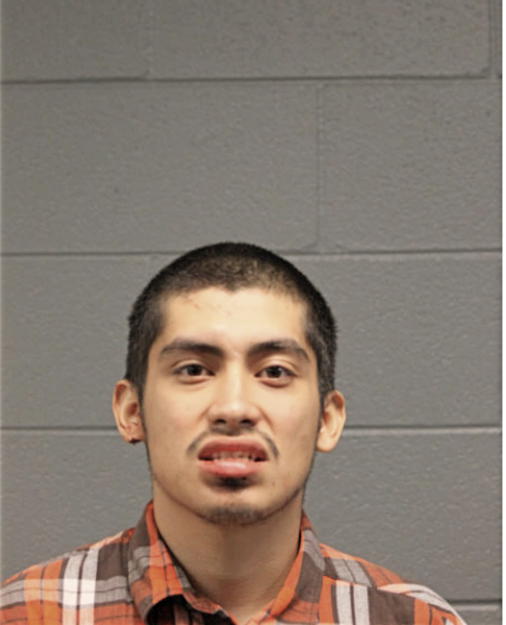 BRYAN MUNOZ, Cook County, Illinois