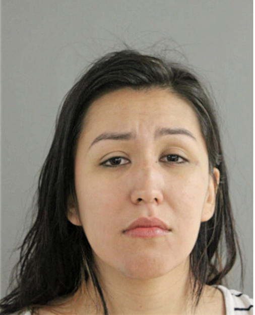 JOANNA NIEVES-GARCIA, Cook County, Illinois
