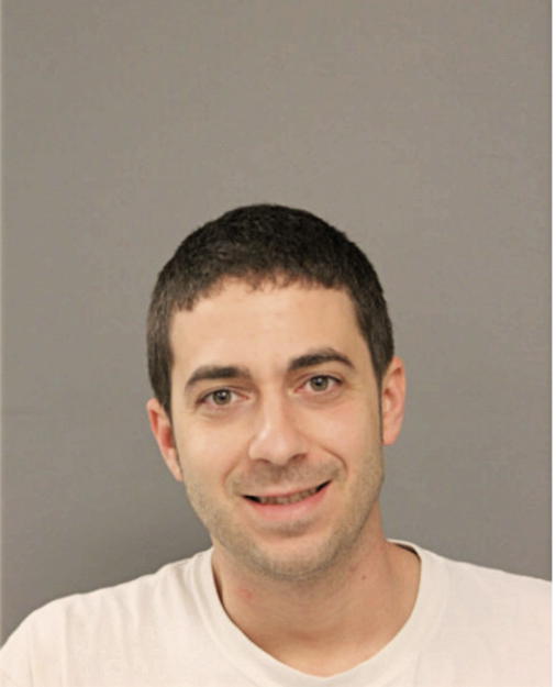 DAVID J PETRIZZO, Cook County, Illinois