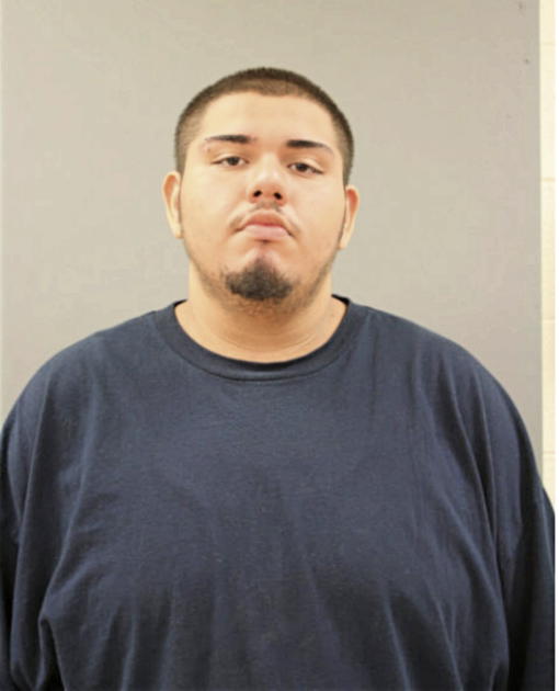 MIGUEL A SALAS, Cook County, Illinois