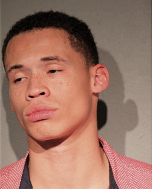 JORDAN C SMITH, Cook County, Illinois