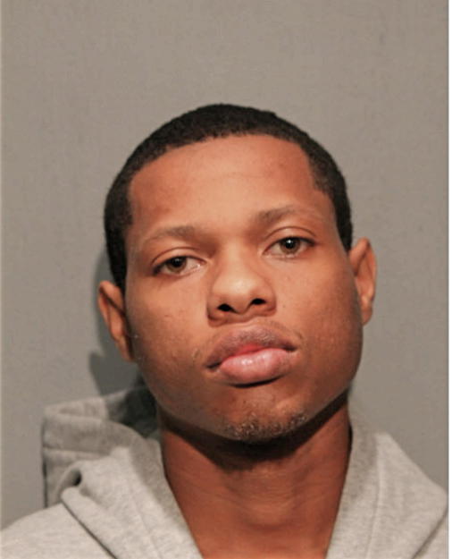 MICHAEL P STANFORD, Cook County, Illinois