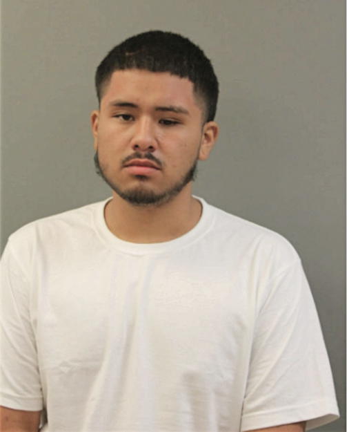 CHRIS TERRONES, Cook County, Illinois