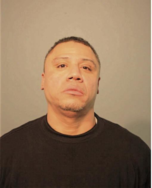 SHAWN L WILLIAMS, Cook County, Illinois