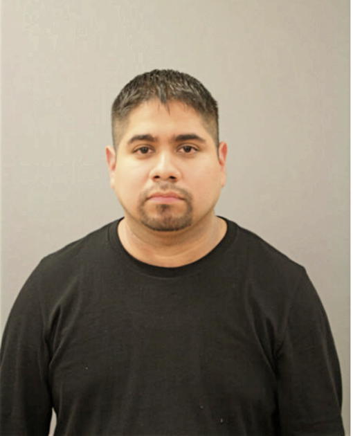 DELFINO ALVAREZ, Cook County, Illinois