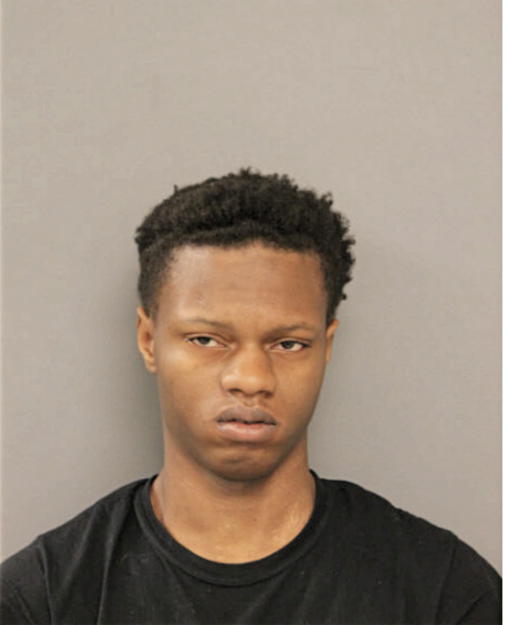 DARNELL L BLAKE, Cook County, Illinois