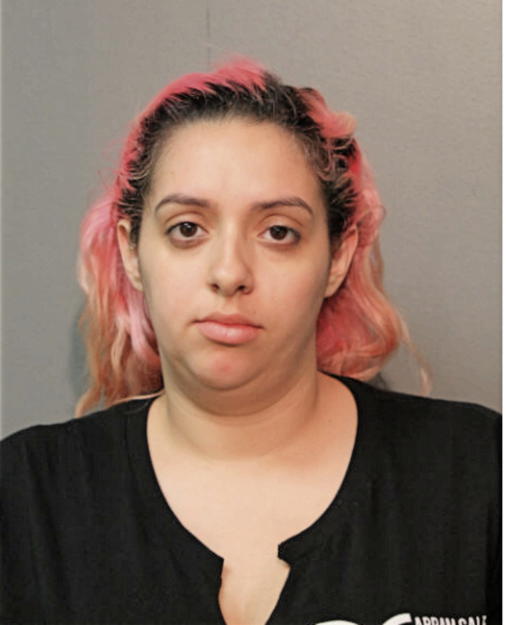 ALLISON L BORRERO, Cook County, Illinois