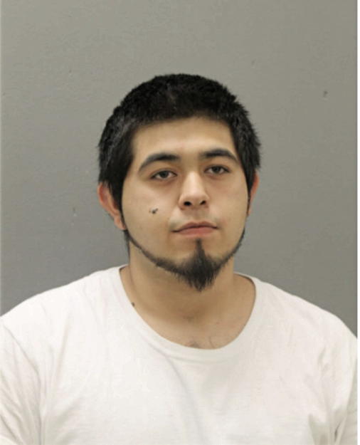 NATHAN D CORTEZ, Cook County, Illinois