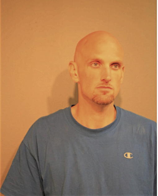 MICHAEL P DEAN, Cook County, Illinois