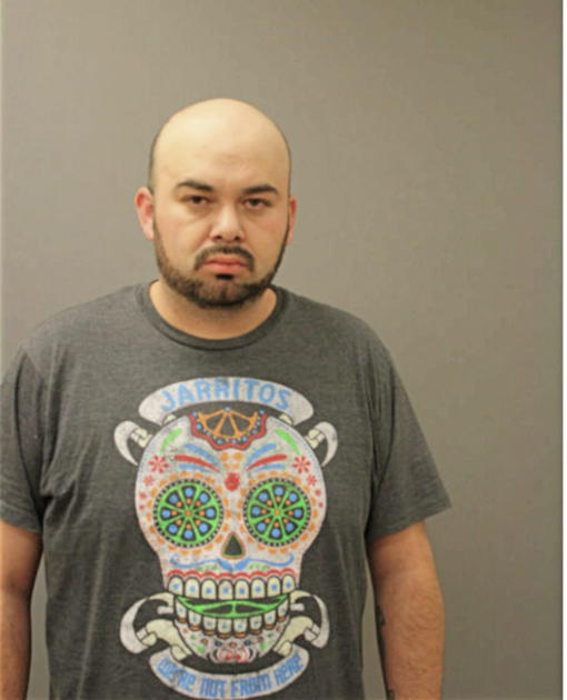 EDGAR DOMINGUEZ`AVALOS, Cook County, Illinois