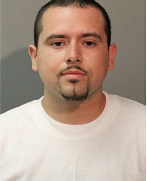 CARLOS M HERRERA, Cook County, Illinois