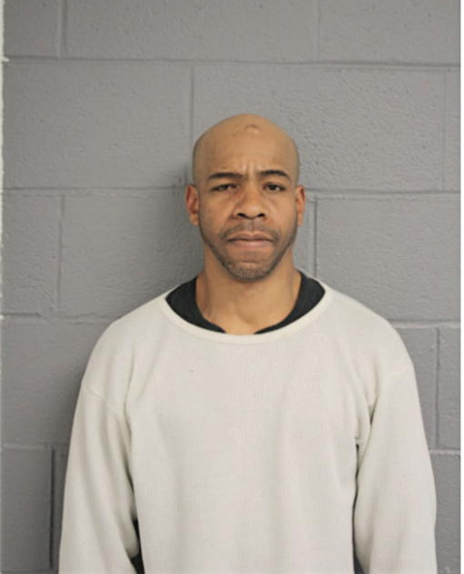 BRIAN A HINES, Cook County, Illinois