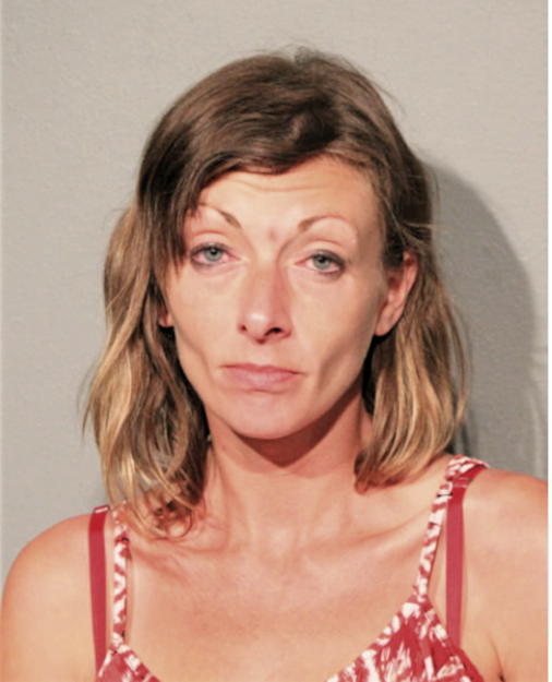 ELIZABETH L KLIMEK, Cook County, Illinois