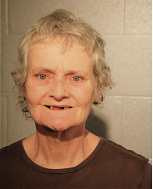 ANNE MARIE LEONARD, Cook County, Illinois
