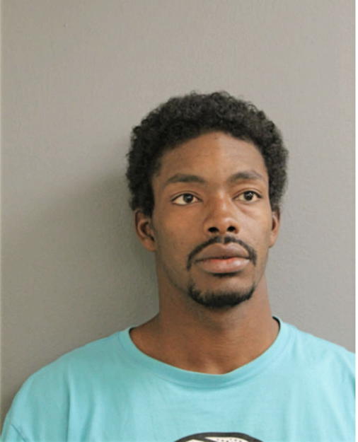 SPIVEY T LEWIS, Cook County, Illinois