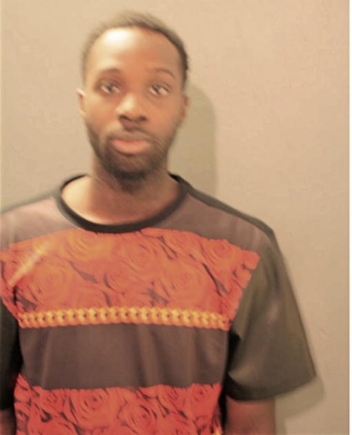 DAVID MCGRAY, Cook County, Illinois
