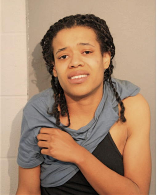 DANIELLE J MEANS, Cook County, Illinois