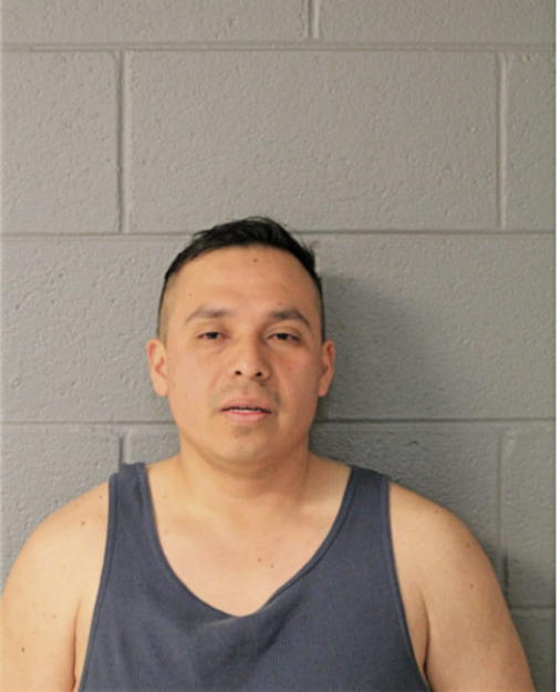 MARIO MENDOZA, Cook County, Illinois