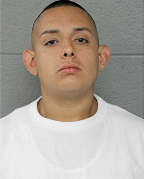 CESAR F RAMOS, Cook County, Illinois