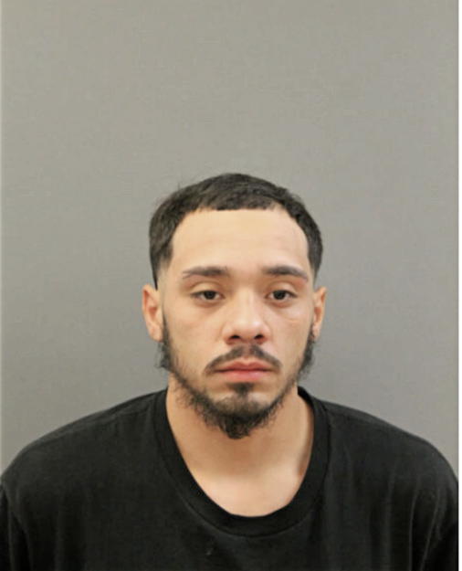 NICHOLAS RAYA, Cook County, Illinois