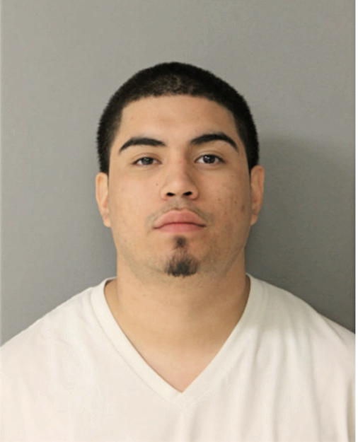 DANIEL RIVERA, Cook County, Illinois