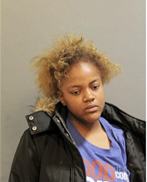 MEGAN ROGERS, Cook County, Illinois